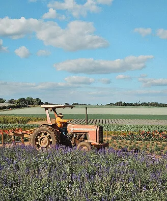 Agribusinesses
